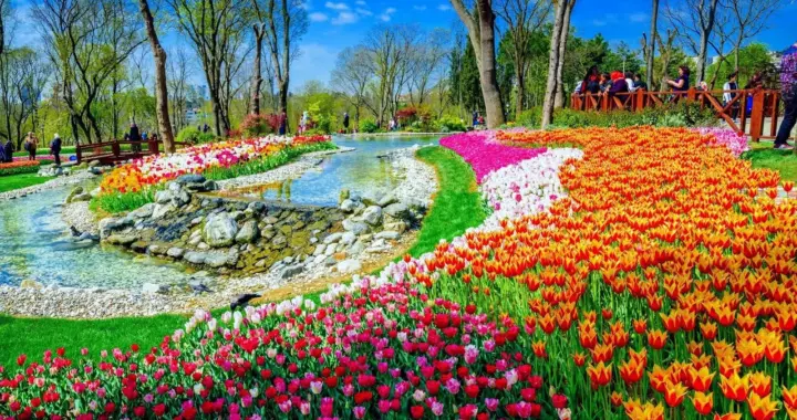 Самые популярные парки Стамбула